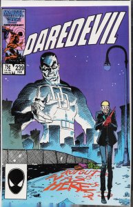 Daredevil #239 (1987) Daredevil