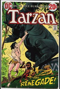 Edgar Rice Burroughs' Tarzan #216 (1973)