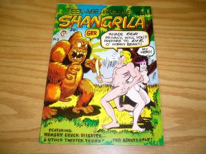 Teen-Age Horizons of Shangrila #2 VF-  (1st) joel beck TRINA ROBBINS grass green