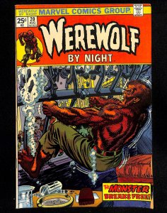 Werewolf By Night #20