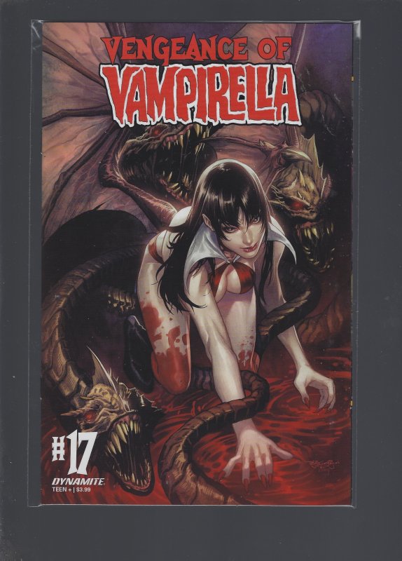 Vengeance Of Vampirella #17 Cover C