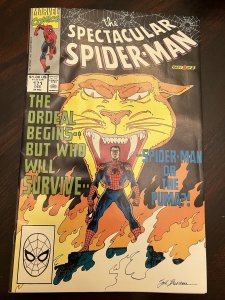 The Spectacular Spider-Man #171 Direct Edition (1990) - NM