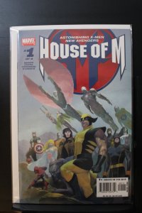 House of M #1 Ribic Cover (2005)