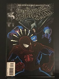 The Spectacular Spider-Man #207 (1993)