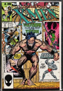 Classic X-Men #17 (1988) X-Men