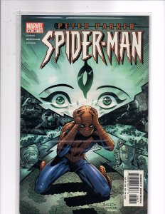 Marvel Comics Peter Parker Spider-Man #48 (146) Flash Thompson Coma