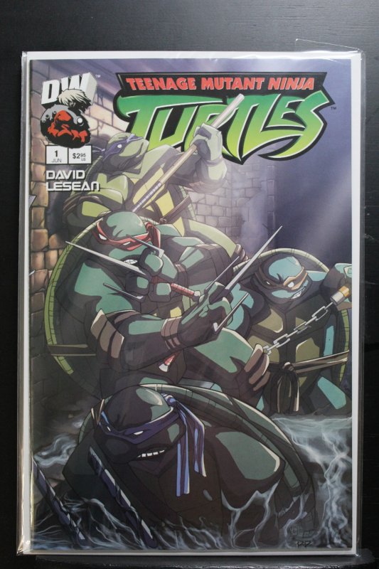 Teenage Mutant Ninja Turtles #1 (2003)