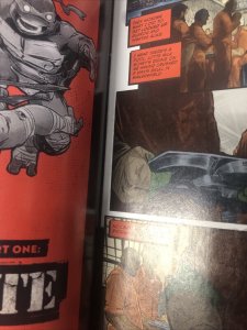 Teenage Mutant Ninja Turtels (NM) # 1 (2024)  Variant • IDW Publishing • Aaron