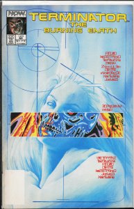 The Terminator: The Burning Earth #1 (1990) The Terminator