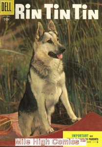 RIN TIN TIN (DELL)  (1952 Series) #10 Fine Comics Book