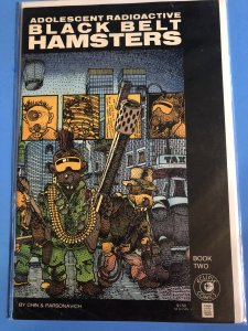 Adolescent Radioactive Black Belt Hamsters #2 (1986) HIGH QUALITY