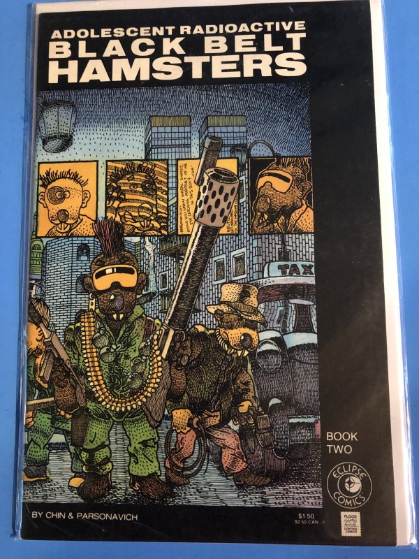 Adolescent Radioactive Black Belt Hamsters #2 (1986) HIGH QUALITY