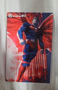 Superman Red and Blue #3 Chew Cover (2021)