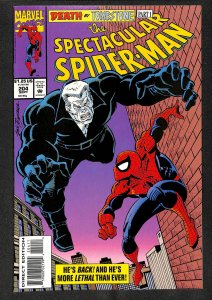 The Spectacular Spider-Man #204 (1993)