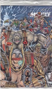 Extreme Sacrifice #2 (with card) VF/NM ; Image | Rob Liefeld