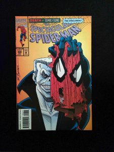 Spectacular Spider-Man #206  MARVEL Comics 1993 VF/NM