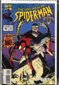 The Spectacular Spider-Man #221 (1995) Spider-Man