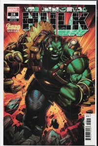 The Immortal Hulk #28 Variant Cover (2020) Hulk