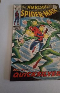 The Amazing Spider-Man #71 (1969)