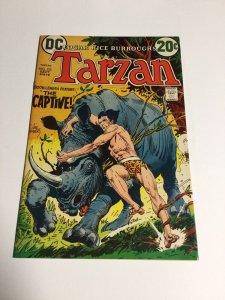 Tarzan 212 Nm Near Mint DC Comics
