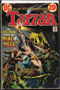 Edgar Rice Burroughs' Tarzan #215 (1972)