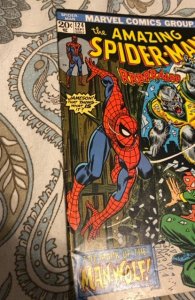 Amazing Spider-Man #125 | 2nd app & Origin Man-Wolf | Marvel Comics 1973