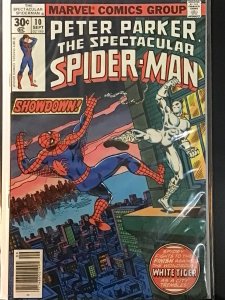 The Spectacular Spider-Man #10 (1977)