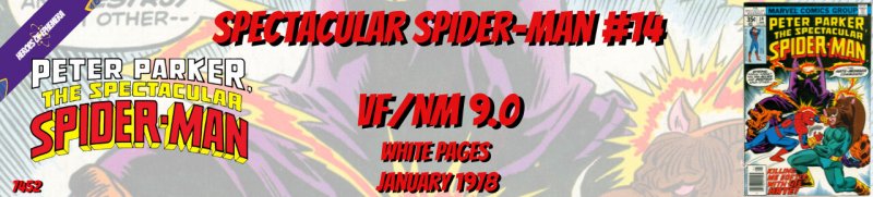 Spectacular Spider-Man 14 VF/NM 9.0 Marvel 1978
