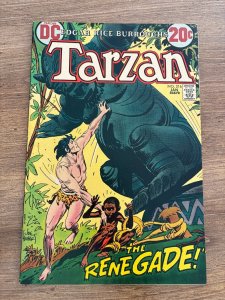 Tarzan # 216 VF/NM DC Comic Book Jungle Series Kubert E. Rice Burroughs 1 J285