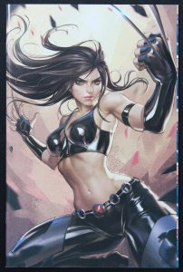 X-23: Deadly Regenesis #1 R1c0 Virgin Cover (2023) X-23