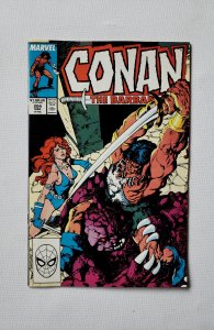 Conan the Barbarian #204 (1988)