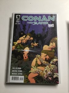 Conan the Slayer #12 (2017)