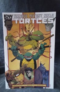Teenage Mutant Ninja Turtles #6 Cover RI (2012)