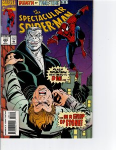 The Spectacular Spider-Man #205 (1993)