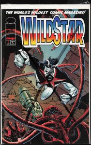Wildstar #1 Variant Cover (1995) WildStar