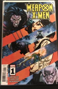 Weapon X-Men #1 (2024)