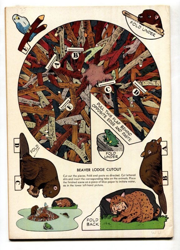 BEAVER VALLEY--DELL FOUR COLOR #625--1955--WALT DISNEY--comic book