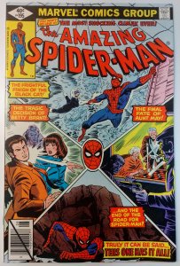 The Amazing Spider-Man #195 (8.0, 1979) Rare Direct, 2nd App & Origin of Blac...