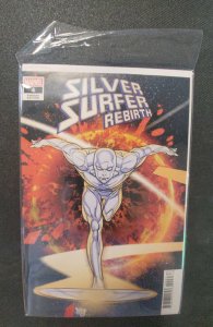 Silver Surfer Rebirth #4 Ferry Cover (2022)