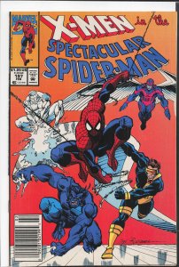 The Spectacular Spider-Man #197 (1993) Spider-Man