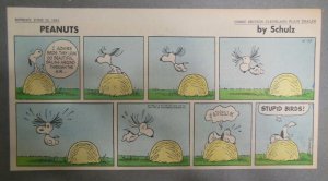 Peanuts Sunday Page by Charles Schulz from 6/25/1961 Size: ~7.5 x 15 inches