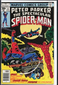 The Spectacular Spider-Man #6 (1977) Spider-Man