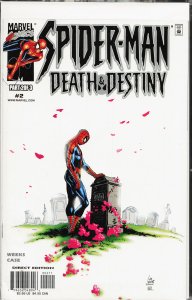 Spider-Man: Death and Destiny #2 (2000) Spider-Man