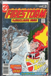 Firestorm #3 (1978) Firestorm [Key Issue]