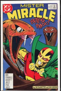 Mister Miracle #2 (1989) Mister Miracle