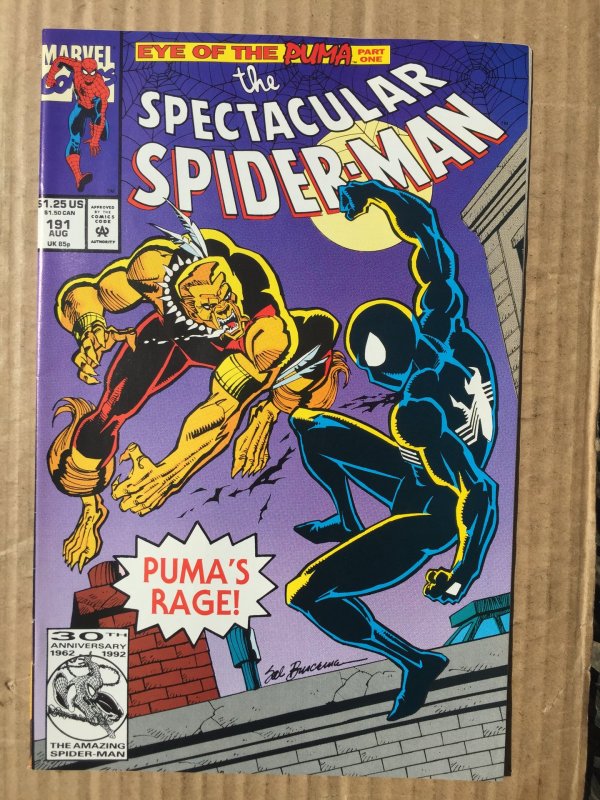 The Spectacular Spider-Man #191 (1992)