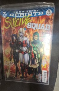 Suicide Squad #13 Variant Cover (2017)