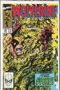 Wolverine #22 (1990) Wolverine
