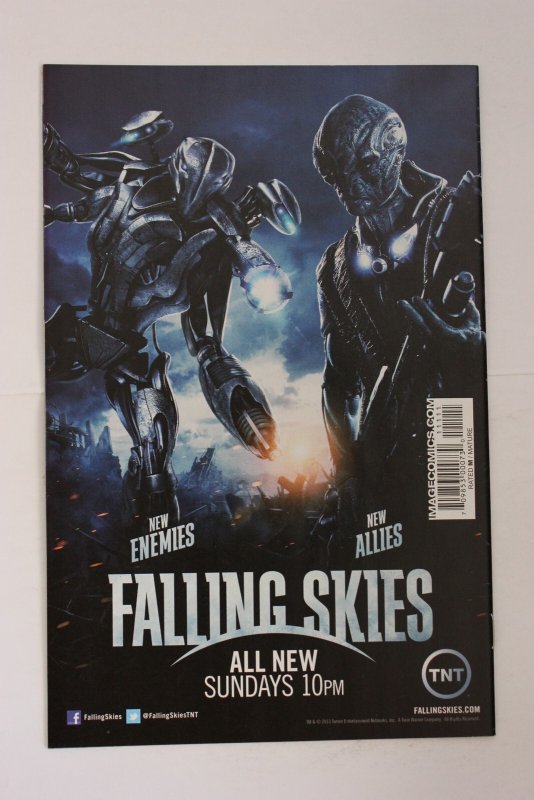 The Walking Dead #111 (2013) The Walking Dead NM