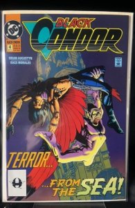Black Condor #4 (1992)